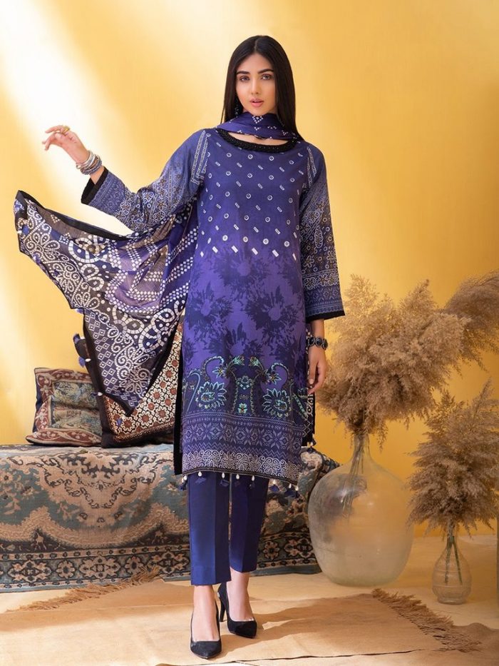 Inaya-3 PC Suit IN41B - Image 6